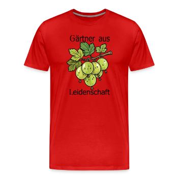 Grüne Stachelbeeren am Zweig - Männer Premium Bio T-Shirt - Rot - Vorne - Damien (186cm)