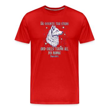Bibelvers Christlich Religiös  - Männer Premium Bio T-Shirt - Rot - Vorne - Damien (186cm)