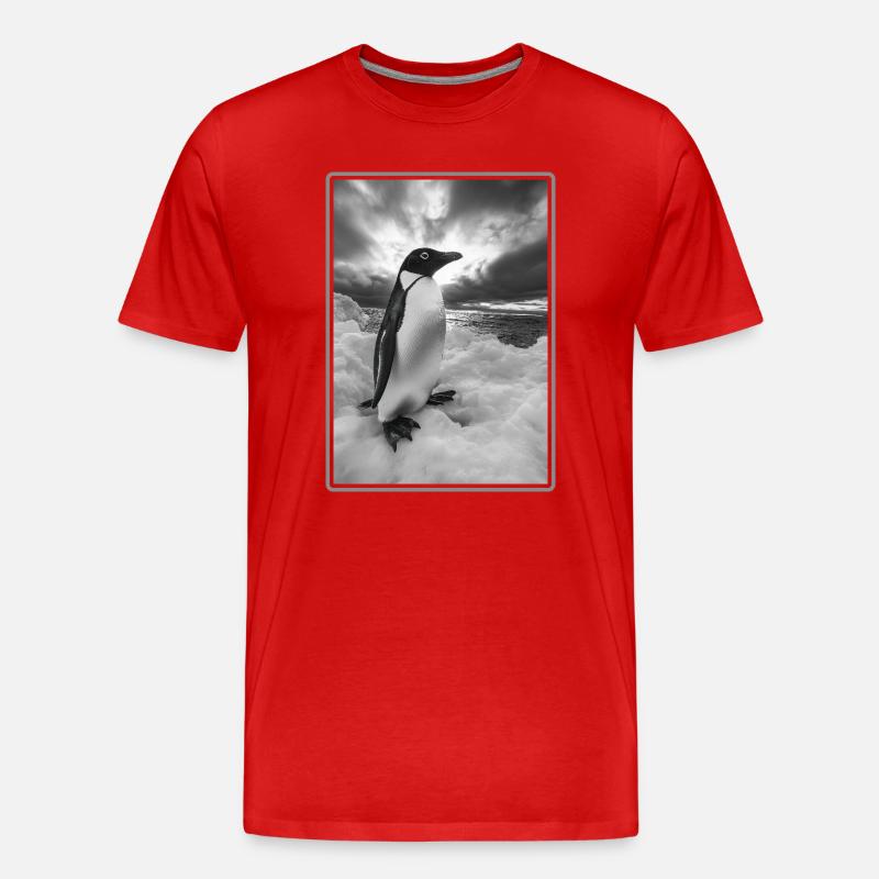 Pinguine Pinguin - Männer Premium Bio T-Shirt - Rot