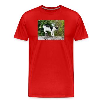 Cat balancer on wooden post - Men's Premium Organic T-Shirt - red - Front - Damien (186cm)