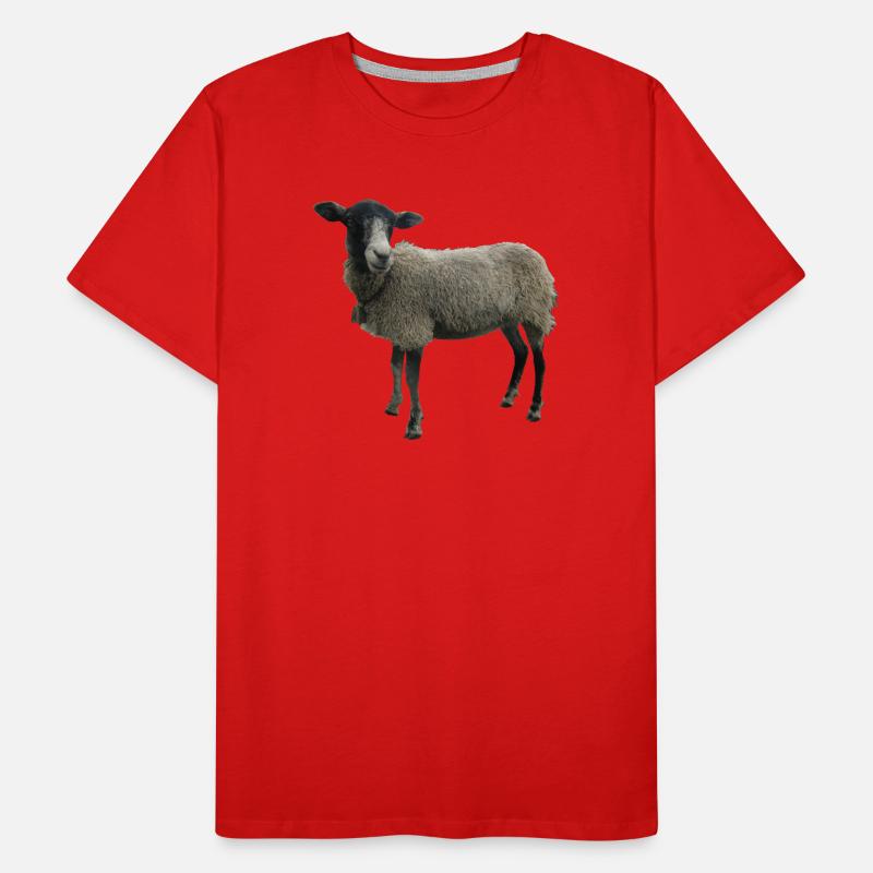 Schaf Männer Premium Bio T-Shirt