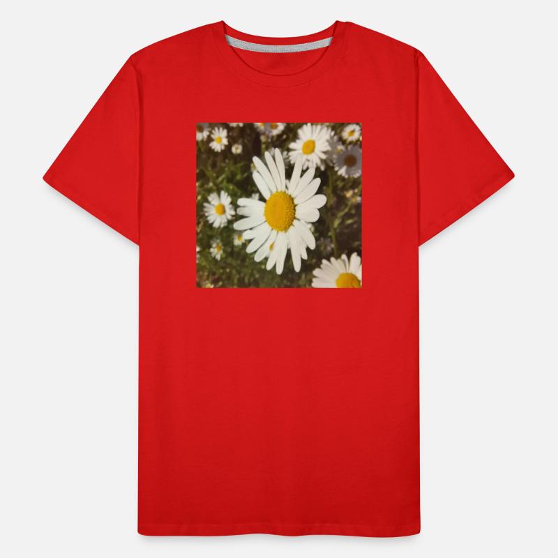 Gänseblümchen Sonnenlicht Männer Premium Bio T-Shirt