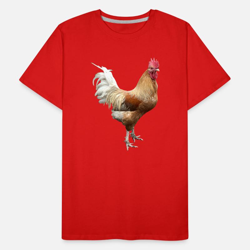 Coq T-shirt bio Premium Homme