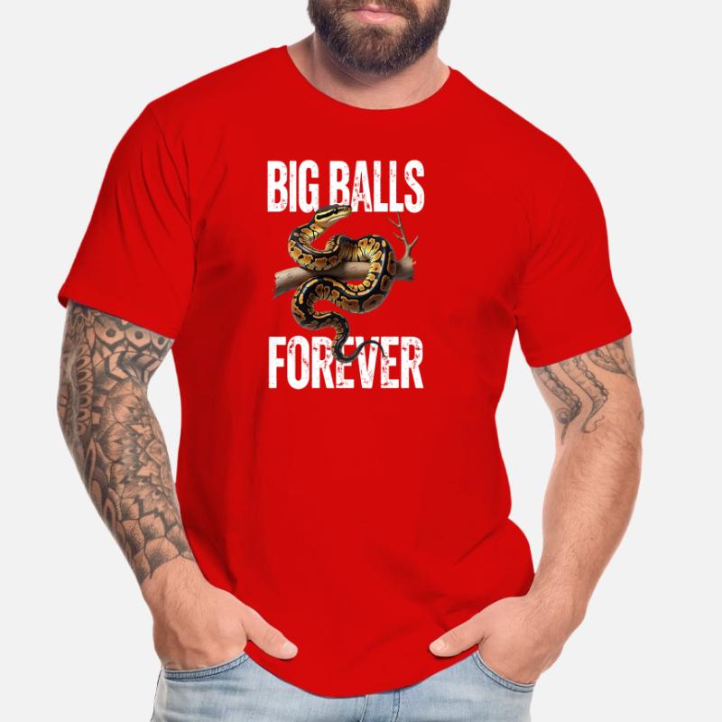 Königspython Schlangen Liebhaber Terrarium Python Männer Premium Bio T-Shirt