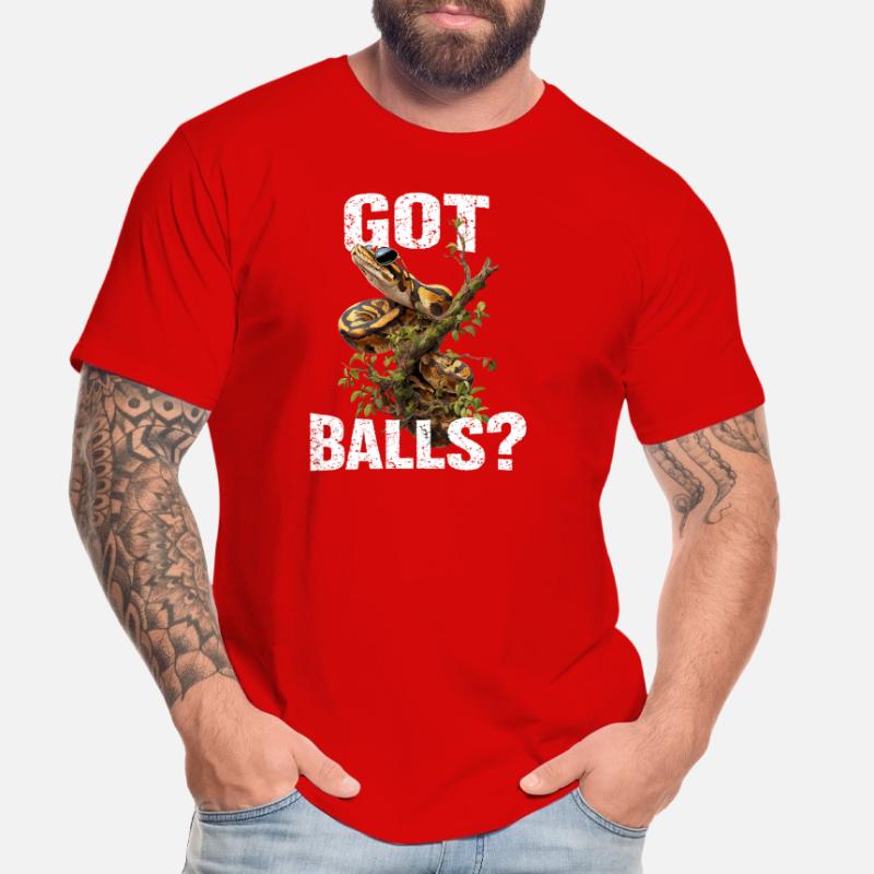 Python roi Serpents Amateurs de terrarium Python T-shirt bio Premium Homme