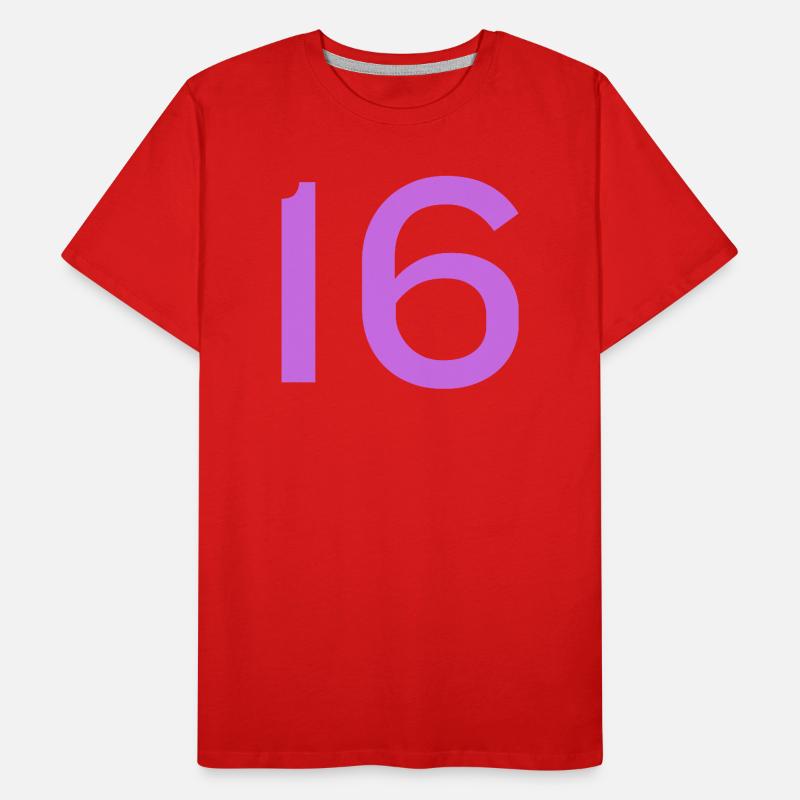 16 T-shirt bio Premium Homme