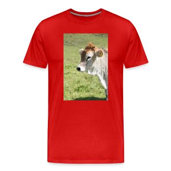 Vache dans un vert de pâturage ensoleillé - T-shirt bio Premium Homme - rouge - Devant - Damien (186cm)
