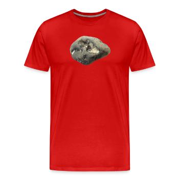Stein - Männer Premium Bio T-Shirt - Rot - Vorne - Damien (186cm)