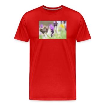 Delicate Lavender in Bloom - Men's Premium Organic T-Shirt - red - Front - Damien (186cm)