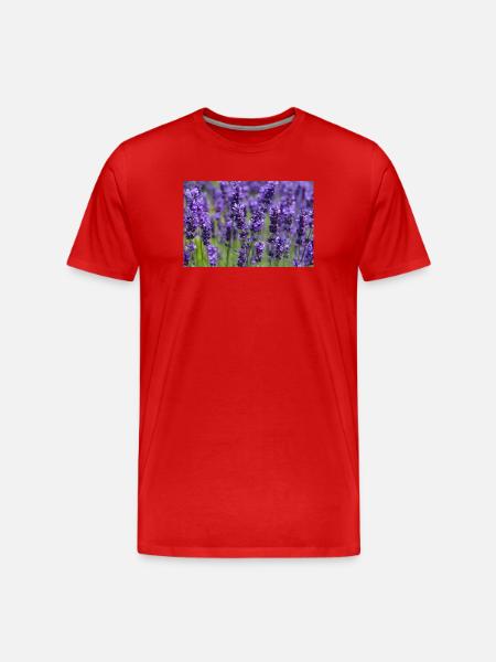 Lavender Field Dreamscape - Men's Premium Organic T-Shirt - red