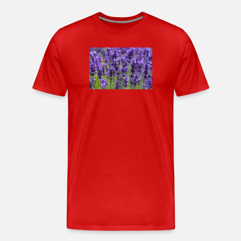 Lavendelfeld-Traumlandschaft - Männer Premium Bio T-Shirt - Rot