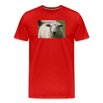 Gros plan d’un mouton - T-shirt bio Premium Homme - rouge - Devant - Damien (186cm)