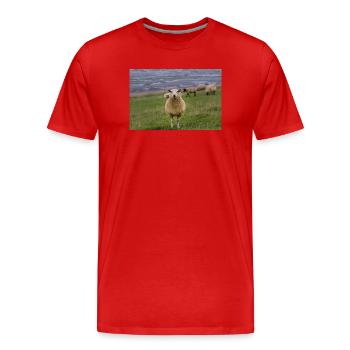 Moutons sur la digue sur la côte - T-shirt bio Premium Homme - rouge - Devant - Damien (186cm)