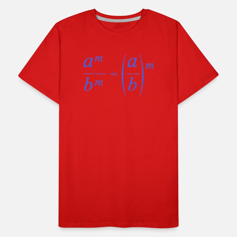 mathematics Men's Premium Organic T-Shirt