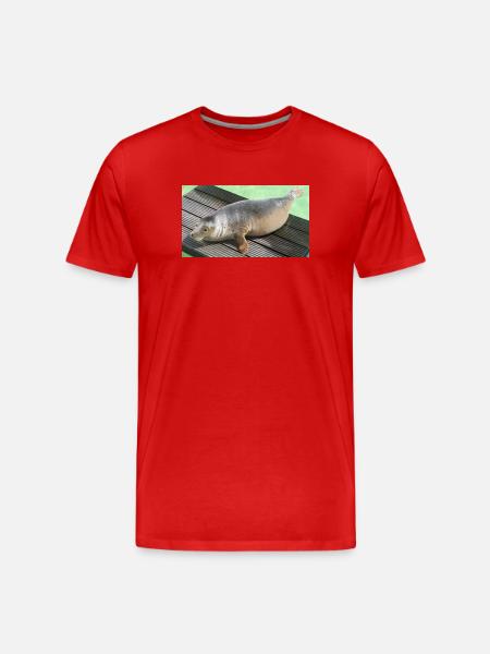 Bébé phoque à Texel - T-shirt bio Premium Homme - rouge