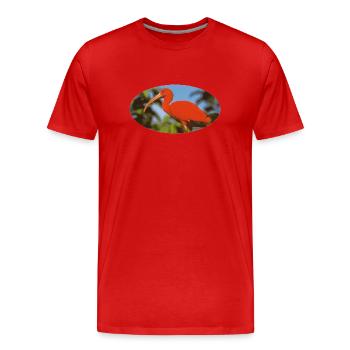 ibis 1 Flamand rouge Amazonie - T-shirt bio Premium Homme - rouge - Devant - Damien (186cm)