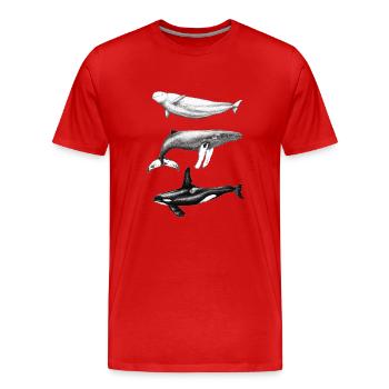 Dauphin béluga, rorqual à bosse et rorqual à bosse - T-shirt bio Premium Homme - rouge - Devant - Damien (186cm)