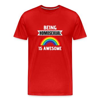 Drapeau arc-en-ciel Cadeau du mois de la fierté gaie LGBTQ - T-shirt bio Premium Homme - rouge - Devant - Damien (186cm)