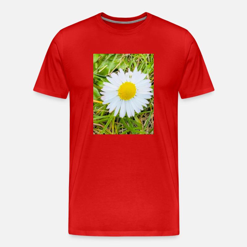 Sonniges Gänseblümchen - Männer Premium Bio T-Shirt - Rot