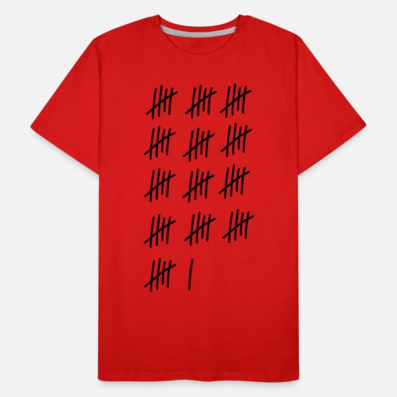 66 Striche // Geburtstag // Jubiläum // Geschenk Männer Premium Bio T-Shirt