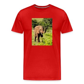 Éléphant - T-shirt bio Premium Homme - rouge - Devant - Damien (186cm)