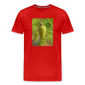 Pin d’Alep aussi Pin de Jérusalem Alep-Kiefer - T-shirt bio Premium Homme - rouge - Devant - Damien (186cm)