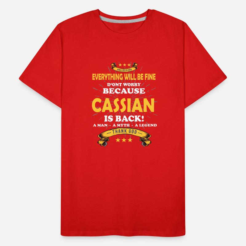 Everything will be fine Cassian Is back Männer Premium Bio T-Shirt