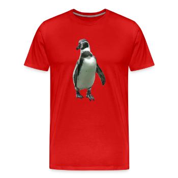 Pingouin - T-shirt bio Premium Homme - rouge - Devant - Damien (186cm)