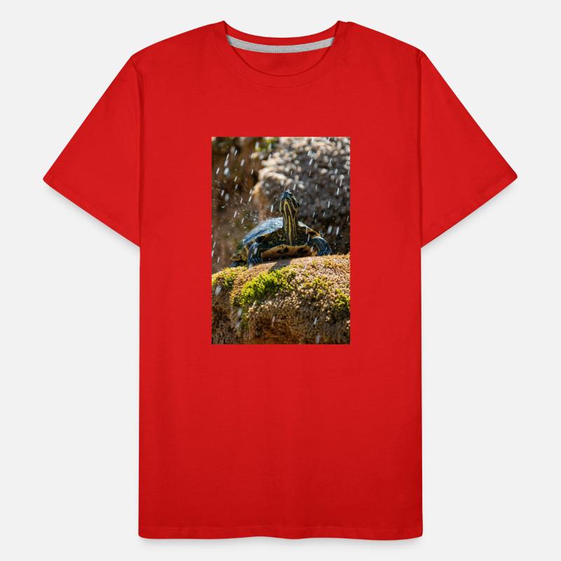 Gelbbauch-Slider Trachemys scripta scripta Männer Premium Bio T-Shirt