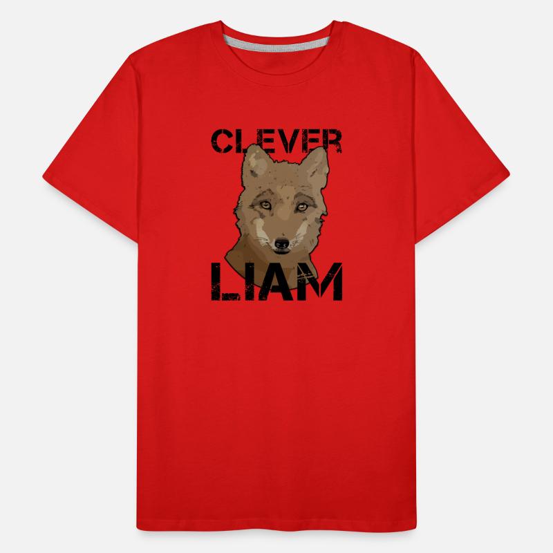 Liam Geburtstag Liam Männer Premium Bio T-Shirt