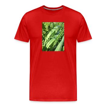 Raindrop - Männer Premium Bio T-Shirt - Rot - Vorne - Damien (186cm)