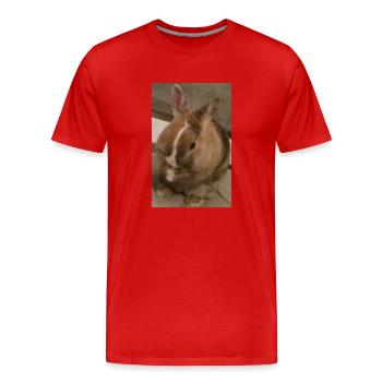 Kaninchen - Männer Premium Bio T-Shirt - Rot - Vorne - Damien (186cm)