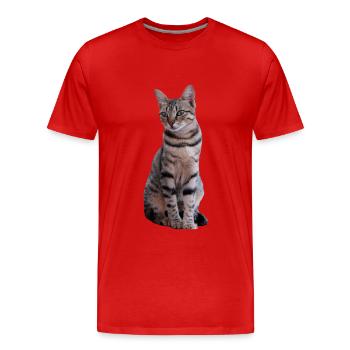 chat chats chaton doux cadeau de Noël - T-shirt bio Premium Homme - rouge - Devant - Damien (186cm)