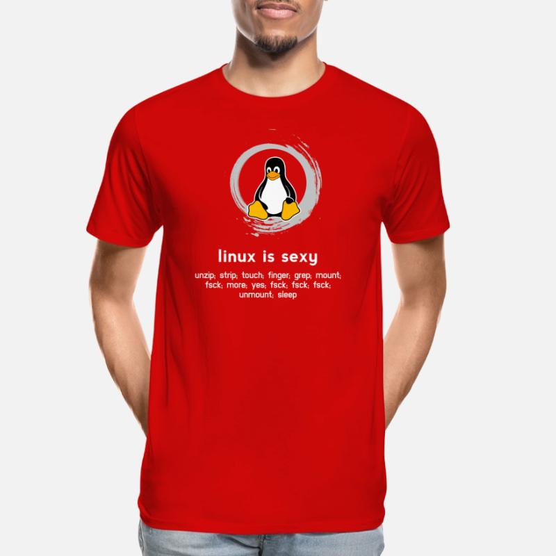 Admin Ordinateur pc programmeur Code du système T-shirt bio Premium Homme