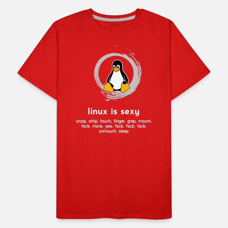 Computer Admin pc Programmierer Code System Humor Männer Premium Bio T-Shirt