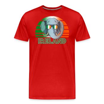 Irland - Männer Premium Bio T-Shirt - Rot - Vorne - Damien (186cm)
