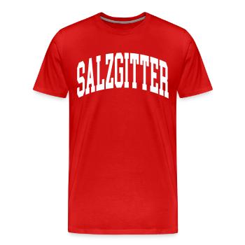 Salzgitter - Männer Premium Bio T-Shirt - Rot - Vorne - Damien (186cm)