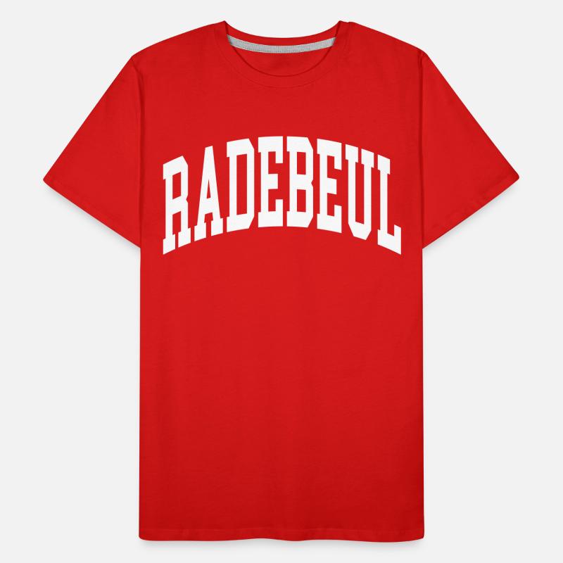 Radebeul Men's Premium Organic T-Shirt