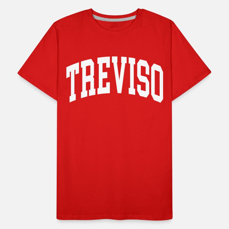 Treviso Men's Premium Organic T-Shirt