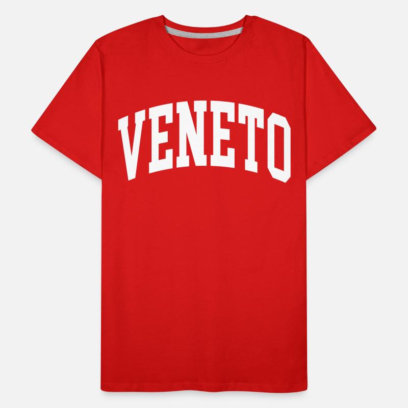 Veneto Men's Premium Organic T-Shirt