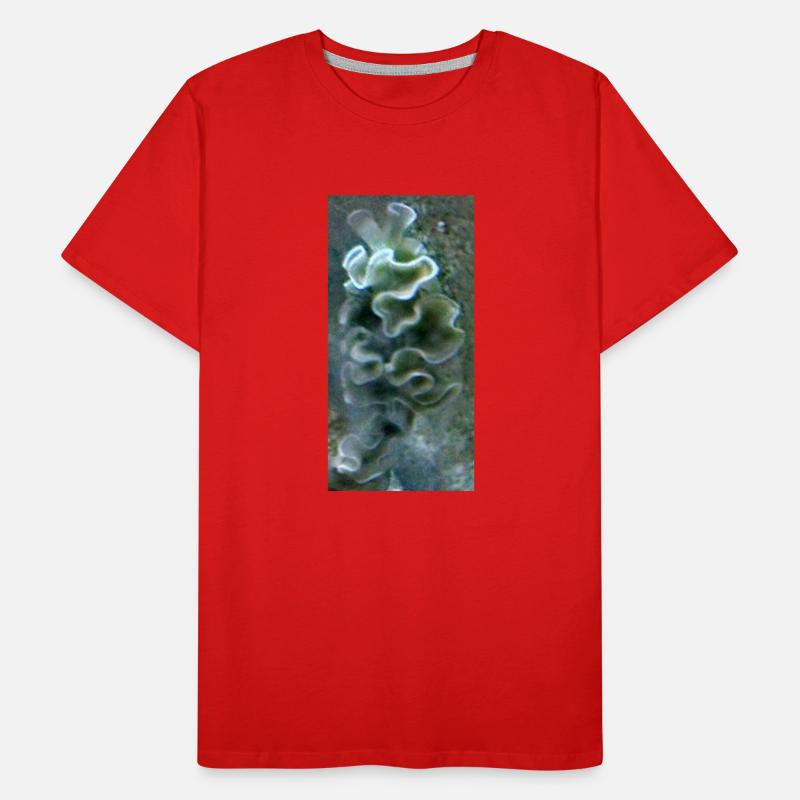 Meeres Schnecke Männer Premium Bio T-Shirt