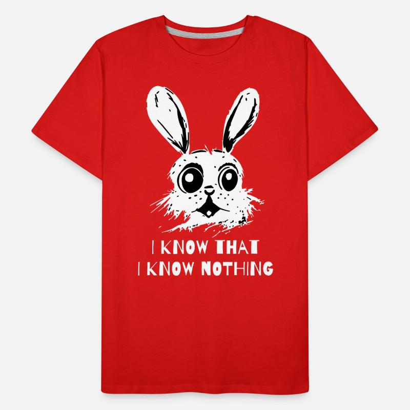 I Know That I Know Nothing - A Wise Rabbit Men's Premium Organic T-Shirt