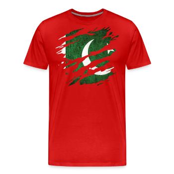 Pakistan - drapeau national, égratignures, fissures - T-shirt bio Premium Homme - rouge - Devant - Damien (186cm)