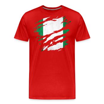 Nigeria - Nationalfahne, Kratzer, Risse - Männer Premium Bio T-Shirt - Rot - Vorne - Damien (186cm)