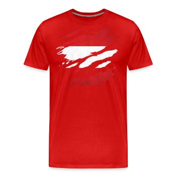 Autriche - Drapeau national, rayures, fissures - T-shirt bio Premium Homme - rouge - Devant - Damien (186cm)