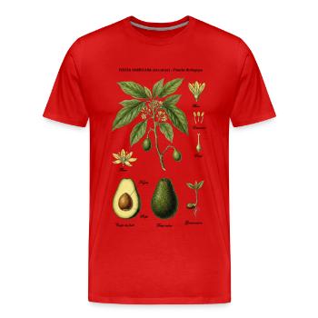 Botanical Board Avocado Tree Nature Study - Men's Premium Organic T-Shirt - red - Front - Damien (186cm)