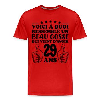 29 Jahre alte Geschenkidee Humor Geburtstag gutaussehendes Kind - Männer Premium Bio T-Shirt - Rot - Vorne - Damien (186cm)