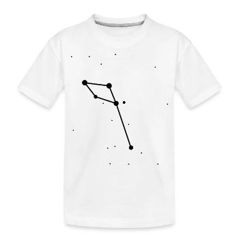 Sternbild Delphin - Kinder Premium Bio T-Shirt - Weiß - Vorne