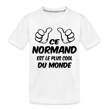 Normandie / Caen / Bretagne / Havre / Foot / Papa - T-shirt bio Premium Enfant - blanc - Devant