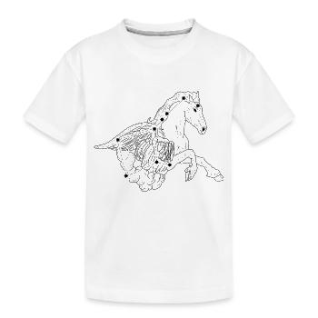 Constellation - T-shirt bio Premium Enfant - blanc - Devant
